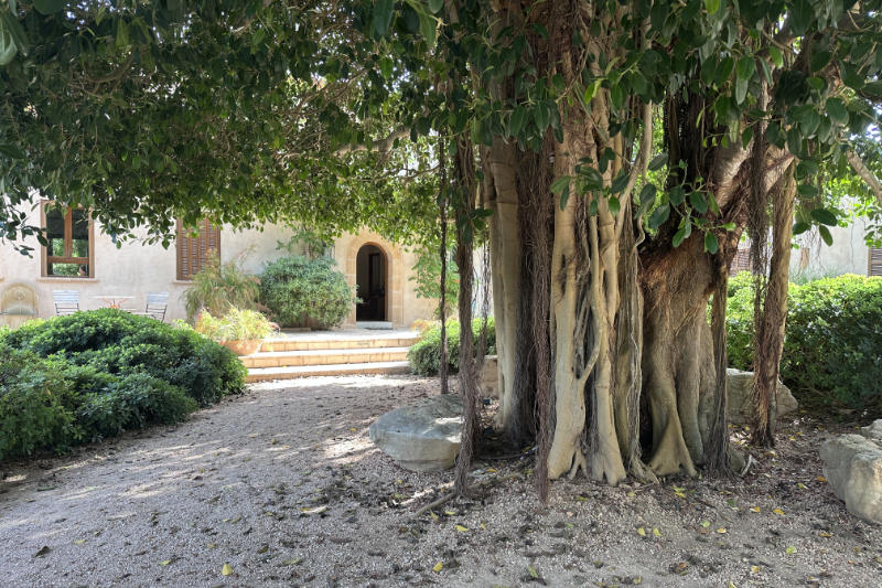 Finca Sanau